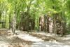 Shepherd's Fold Ranch, Avant — TreeHouse Village