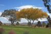 Prairie Star Restaurant, Bernalillo — Views of the wedding & event lawn overlooking the golf course and the Sandia Mountains.