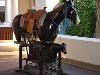 Casino World LLC, Phoenix — Wrangler Roper for 
Western games.