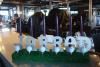 The Balloon People, Scottsdale — candlelighting golf theme