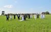 The Photo Chick, Houghton Lake — West Branch / Gladwin MI 48661 Outdoor Summer Country Wedding