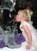 A Master Image - Affordable Quality Photography