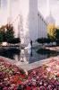 A Master Image - Affordable Quality Photography