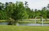 Special Moments, Jacksonville — Our pond for a lovely outdoor ceremony. The pond can also be used for a day of catfishing with the family.