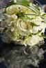 Nasarus Productions Event Planning & Management, Chicago