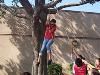 Joslyn Senior Center, Redlands — Eva Yanez proves she trusts the Kid’s World Participants by allowing them to hoist her up on the Community Center.