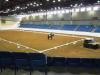 Will Rogers Memorial Center, Fort Worth — The John Justin Arena is fully climate controlled with 1,934 new permanent seats and a 110’x260’ arena dirt floor. This modern arena is located within the 215,000 square foot Richardson-Bass Building which accommodates (278) 10’x10’ permanent metal stalls, a 60’x120’ exercise arena, 34 cattle pens, the Coburn meeting room, 11,000 square foot exhibit hall as well as multiple show offices.