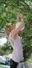 From Menus to Venues, Saint John — Our lead planner hanging paper lanterns in a tree in preparation for an outdoor ceremony!