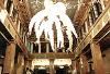 Wow! Balloons - Creative Event Balloon Decor!, Newton