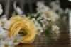 Scott Hoag Photography, De Witt — We are a small family-owned business that takes pride in quality photos at a very affordable price and exercises small town values. Our style is more candids and less posed to capture the excitement and emotion of your special day.