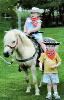 Clowns, Magicians & More, Winnipeg — Ponies are brought to your location. They are lead by an experienced handler. They can be brought to your yard, go up and down the street, or go into the park where you are planning your party. The ponies are a fun surprise at any party.