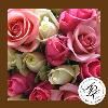 Treasured Moments Wedding & Events, Norwalk — Bridal Bouquet!