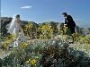 The Vow Keeper, Twentynine Palms