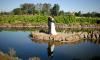 Willie Green's Farms, Monroe
