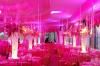 Boykin Staging Productions, Buford