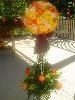 Picture Perfect Events LLC, Audubon