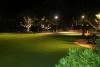 Aquarium Lawn, Waikiki Aquarium, Honolulu — The lawn has an ambiance lighting and twinkle lights.