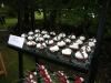 Classic Traditions Catering - Portland, Portland