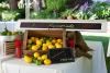 Classic Traditions Catering - Portland, Portland