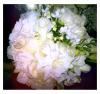 Divine Floral by Gina, Simi Valley