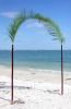 All You Need is Love, Lehigh Acres — palm leaf arch