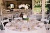 Elegancia Caters, Rockville