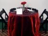 Captivating Moments Event Planning & Management, Tracy