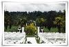 Palm Garden, Yang's Botanical Gardens, Port Orchard