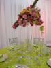 Jovani Linens&Floral Design, Las Vegas