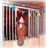 CHILDREN'S PARTIES, Sandhill at Jupiter Equestrian Center