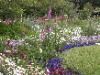 The Shakespeare Garden, The Huntington Library, Art Collections, and Botanical Gardens, San Marino