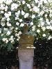 The Shakespeare Garden, The Huntington Library, Art Collections, and Botanical Gardens, San Marino