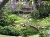 The Huntington Library, Art Collections, and Botanical Gardens, San Marino — The Japanese Garden