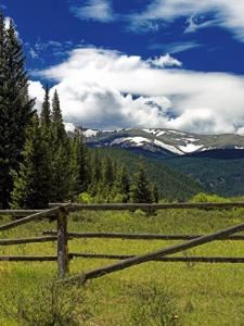 Colorado Mountain Pasture