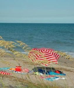 A Day At One of Delaware's Beautiful Beaches